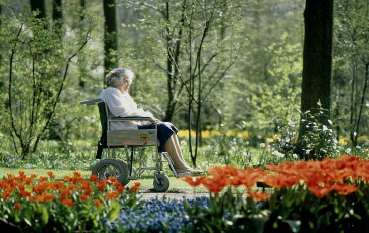 Dementia Gardens Recent statistics cited by Alzheimer s Australia show that there are more than 353,800 Australians currently living with dementia, with that number expected to increase to over