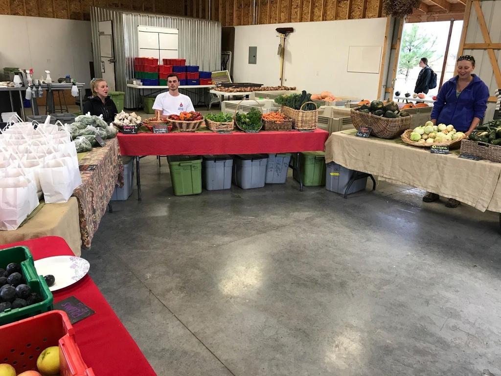Welcome to the 2019 season! Thank you for your interest in supporting Towne s Harvest Garden! THG is MSU s 3-acre, certified organic campus farm.