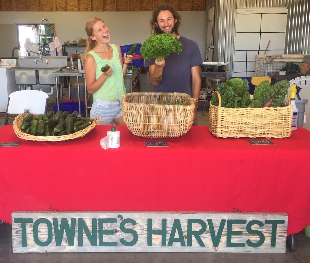 Additional questions and concerns: Contact THG Marketing Manager or Production Manager at townes.harvest@gmail.