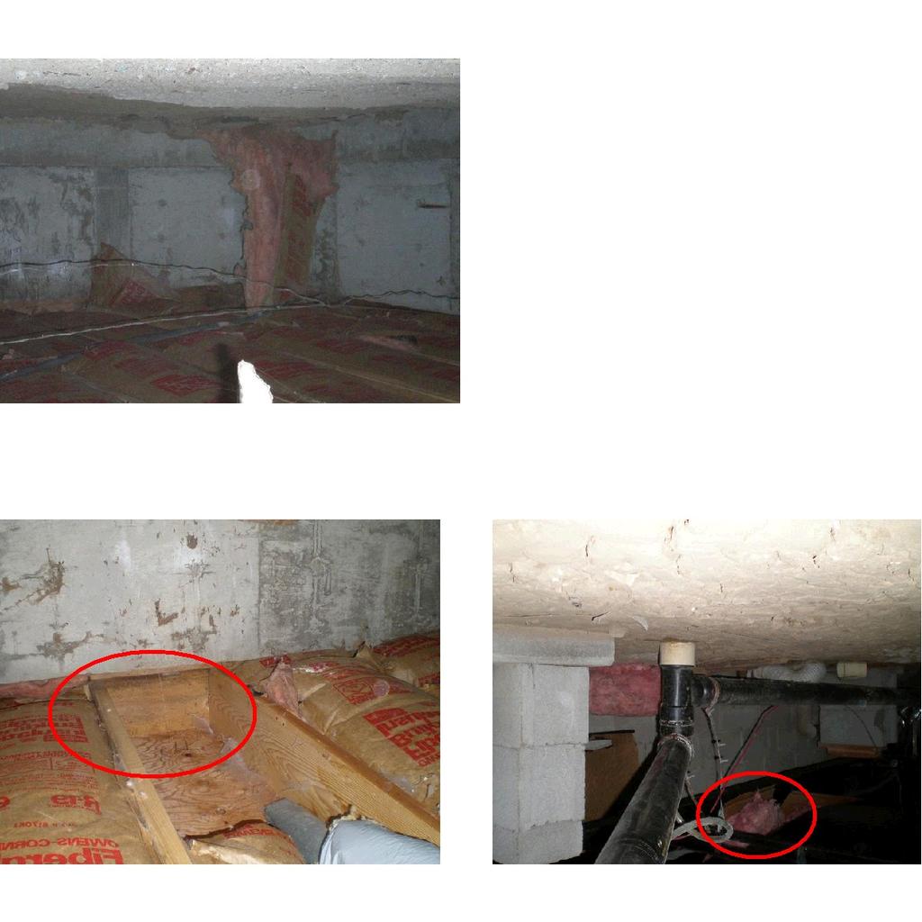CRAWL SPACE: Dry conditions, minimal ventilation. Underside of floor is insulated. Insulation has a few areas that are loose and need re-secured. There is evidence of rodents being in the property.
