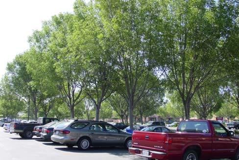 7. Parking Area Landscaping Intent: In a warm summer climate such as Livermore s, shading is extremely important to reduce glare and heat buildup as