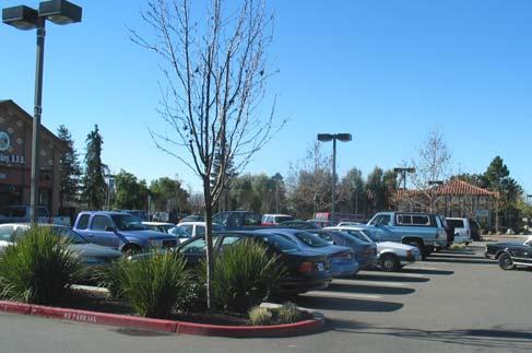 double loaded stalls and one tree for every three parking spaces for smaller parking lots.