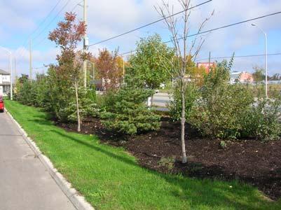2 Guideline 23: Include a landscaped buffer between the arterial right-of-way and the local right-of-way for single-loaded