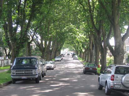 2 Guideline 27: Plant trees along all streets in a consistent pattern and coordinate with the location of street amenities and