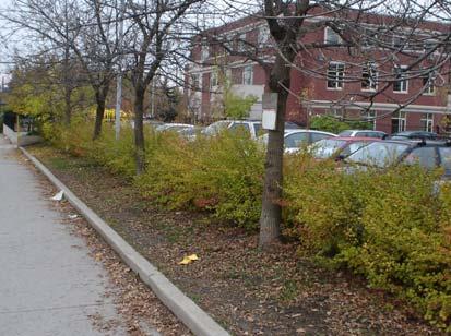 Guideline 52: Provide a landscape buffer along the edge of parking areas in situations were they are along the public street.