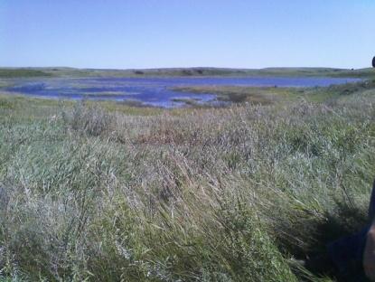 Prairie & Big Rivers Landscape Conservation