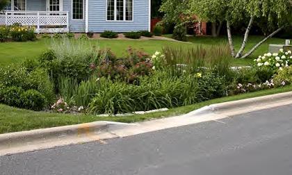 A curb cut should be installed to allow the flow of runoff into the bioretention system.