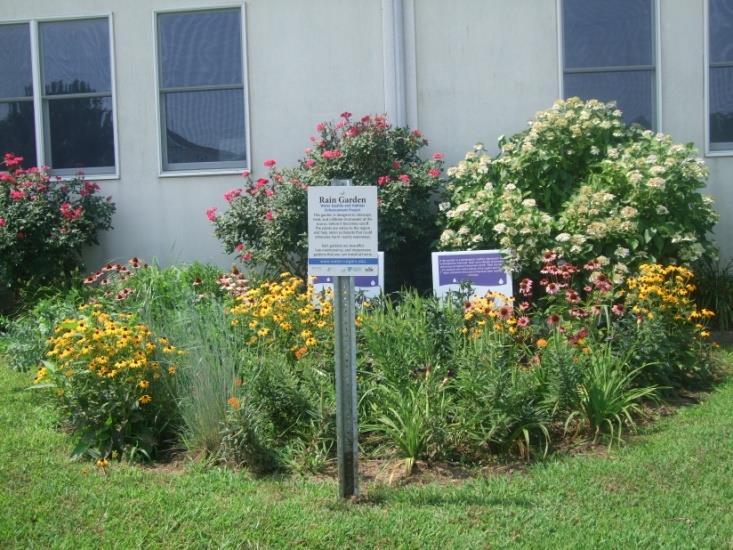 Bioretention systems will reduce runoff and allow stormwater