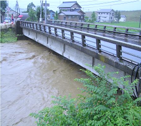 767 Fig. 13. The Miyamae River Bridge on June 28, 2005 4. An actual case of emergency warning A flood occurred on June 28, 2005 (Fig.12).