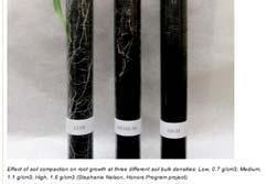 oxygen supply to roots Alters soil