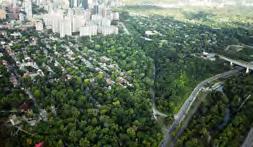 2. GREAT STREETS (right) A model for the Bloor Street East ravine portal overlook and access passage, Alexandra Arch and Forest Walk introduces lookouts and a gradual