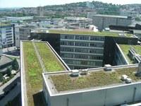 Case studies Stuttgart: combating the heat island effect and poor air quality with green ventilation corridors (2014) Stuttgart s location in a valley basin, its mild climate, low wind speeds,