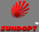 Sundopt Co., Ltd.