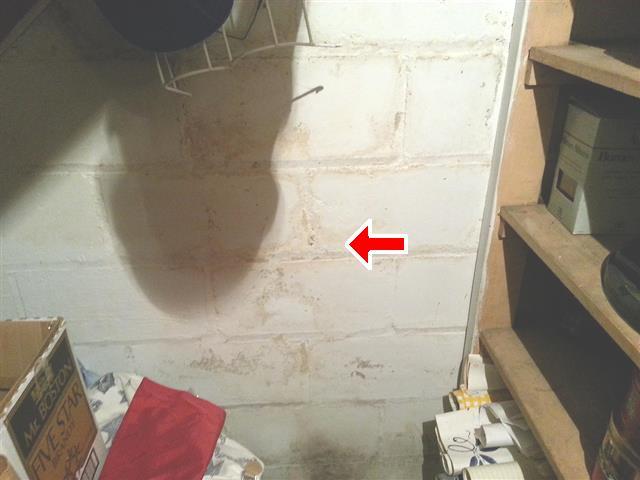 5.0 Visible signs of water intrusion in the basement are present from water stains on wall(s). I am unable to determine the extent of intrusion or how often it occurs.
