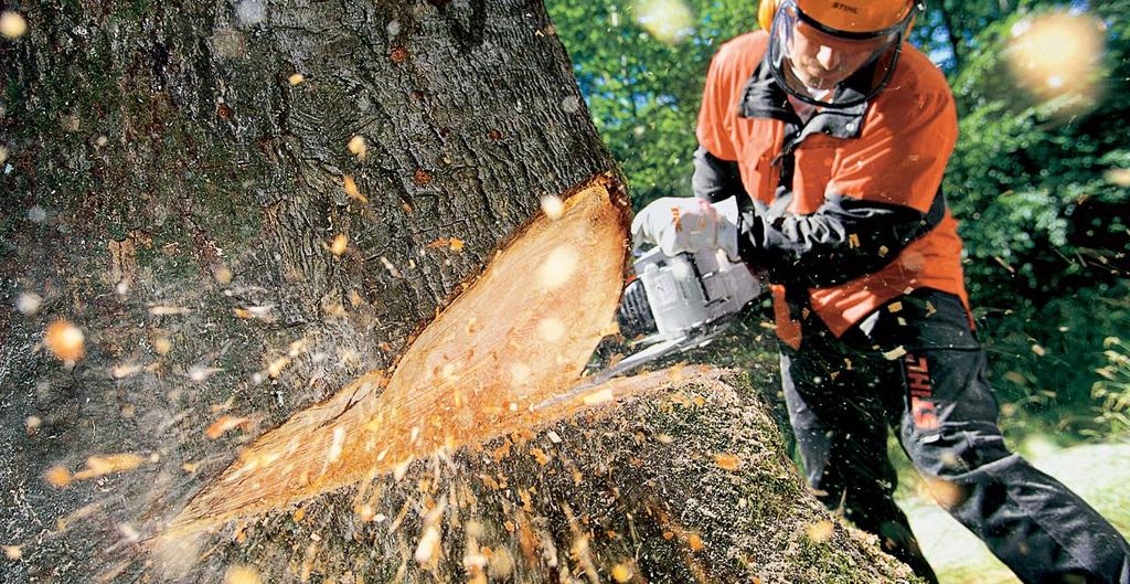 BE N TO N C O U N T Y S E C O N D A RY R O A D S Tree Clearing Right-of-Way Management The Benton County IRVM program is responsible for removing tree and brush problems within the county