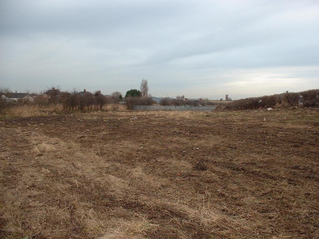 This removal required the land to be stripped and treated as special waste. The subsoil area was ploughed in Spring 2003 and a wild flower mix from the company Landlife sown.