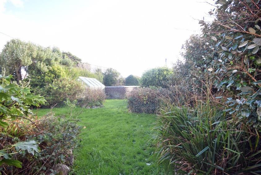 Along the drive is a tall hedge and several well established areas of pampas grass.