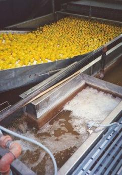 NPIDM in Spain NPIDM in Spain Postharvest actions Importance of availability of soak tanks for