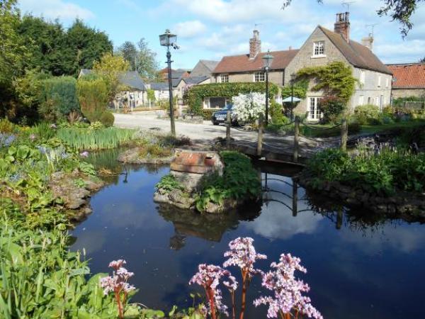 Welcome Celebrating more than 25 years, award winning Browns of Holbeck with its acre garden, nestles in the peaceful hamlet of Holbeck, in Robin Hood Country.