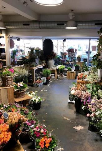 Flower shop - Groningen, Netherlands Location: Groningen, Netherlands Application: 8