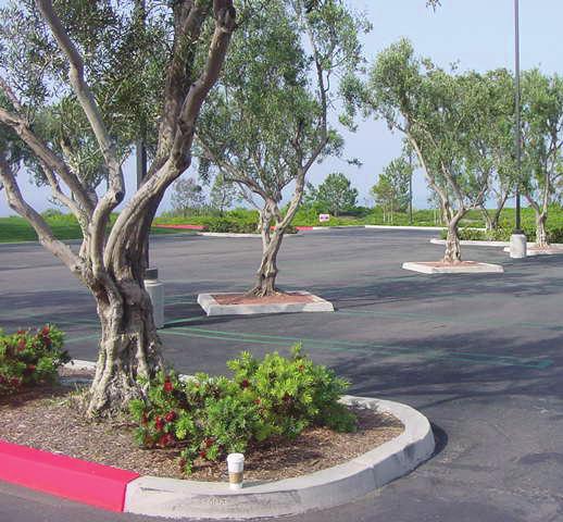 Enhanced landscaping, specimen trees, color annuals, and decorative monuments should be utilized at parking lot entrances. 3.18 4.