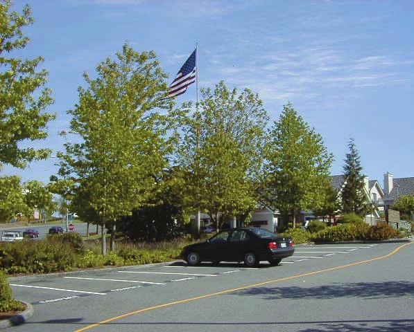 8. Trees should be located throughout parking areas and not merely at the ends of parking rows. 9.
