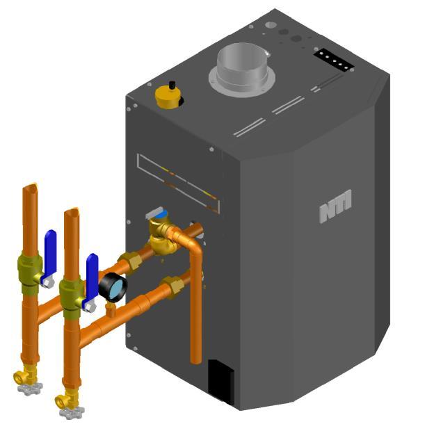 Installation and Operation Instructions Trinity Near Boiler Plumbing Pressure Relief Valve - A 30PSI Pressure Relief Valve is factory supplied with all boilers.