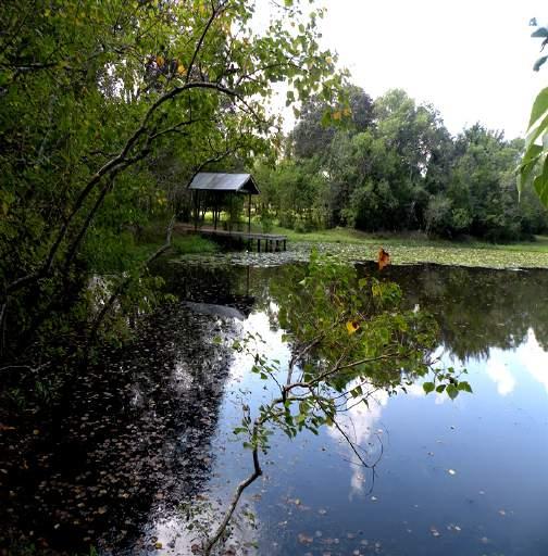 11182 FM 1094 ~ Sealy, Texas Surrounded by numerous trees, there is one large pond, an