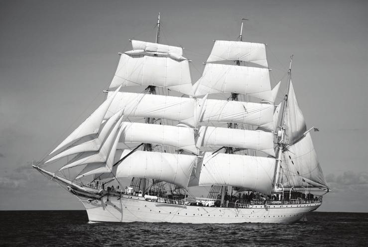 Statsraad Lehmkuhl Sailship: Engine room protected by Clean Agent FS 49 C2 3. High Speed Craft Laura: 4.