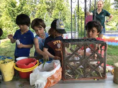 Lemberg Newsletter August 2018 JOIN US IN THE GARDEN PARENT WORKDAY Saturday, August 18th from 9:30 to 11:30 am Weather permitting, earn parent hours helping with garden and playground projects.