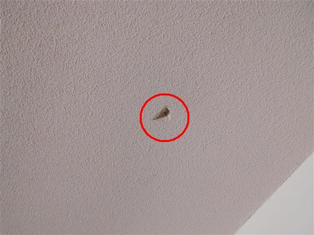 0 Item 2(Picture) (3) Damage noted on drywall at garage ceiling (cosmetic).