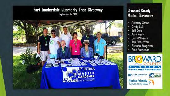 You can learn more about the City of Fort Lauderdale FREE tree giveaway events