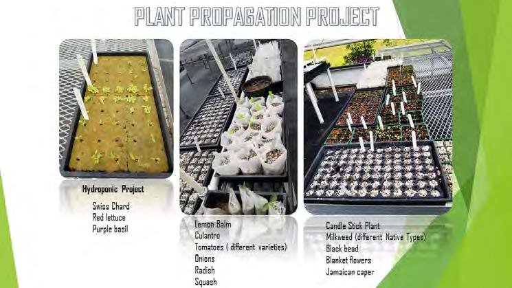 Plants grown will be utilized for the following projects: Master