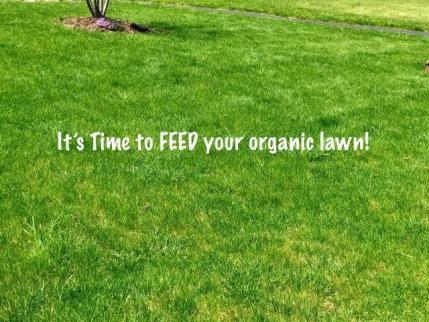The soil has finally warmed up and you can hear the mowers everywhere. Feed now for a healthy organic lawn. Tune in this Thursday night at 5 pm for Facebook Live.