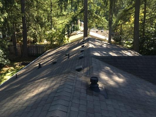 1. Roof Condition Roof Architectural Composition shingle. Roof surface is appeared in good condition overall. Walked on roof surface.