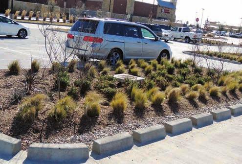 Surface parking areas and other expansive areas of paved surfaces should be broken up with landscape planting.