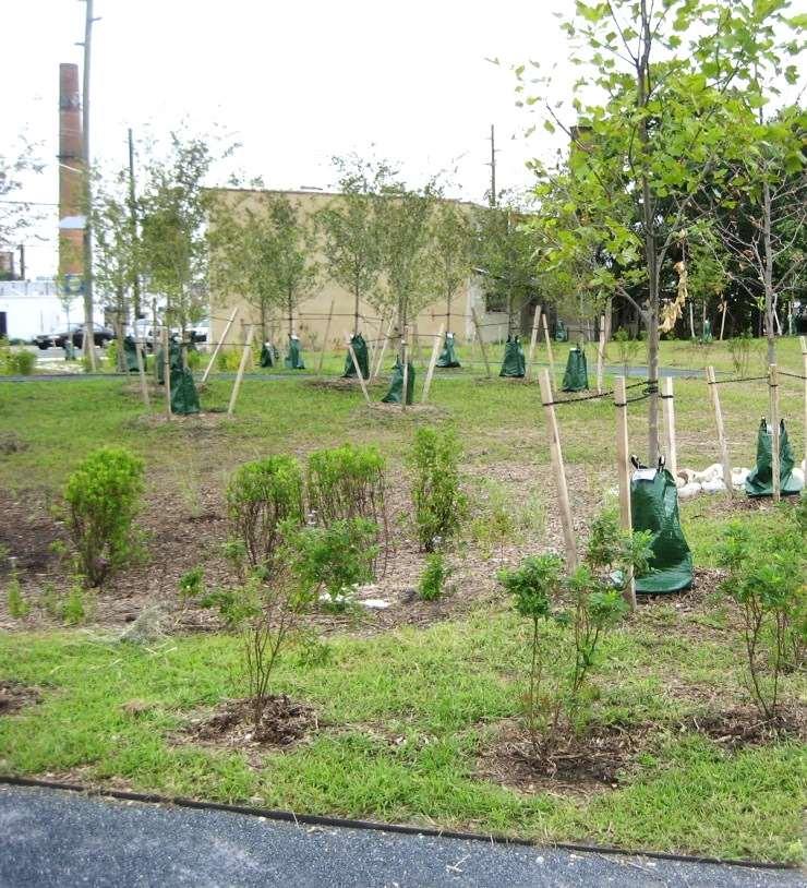 Green Infrastructure on Waterfront South Rain Gardens 1, 850 tons