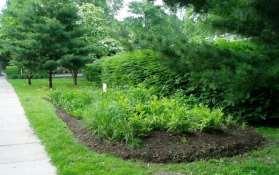 Green Infrastructure projects: capture,
