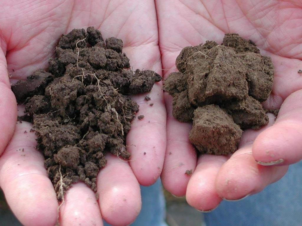 Soil Structure Aggregation of Sand, Silt, and Clay
