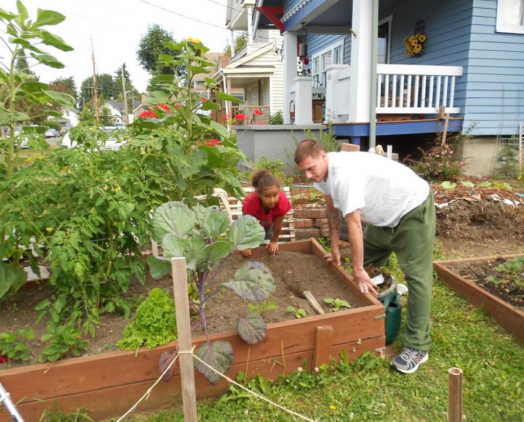 Raised beds: To build or not to build?