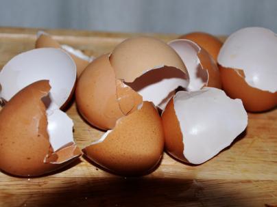 Crushed egg shells around plants (particularly effective for eliminating slugs) Cinnamon is an