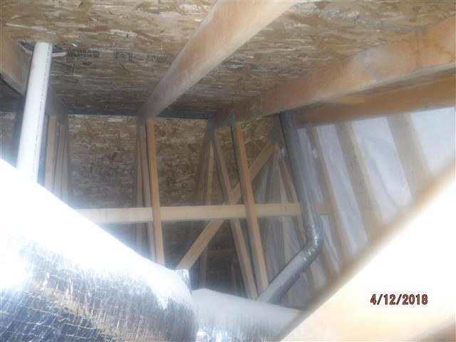 F. H. From the attic, we observed some daylight shining in through the roof framing. The gaps between framing may allow insects to enter the attic.