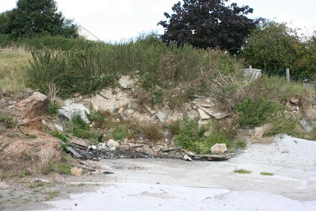 Example 5: -Old rubble pile set within tall ruderal vegetation and scrub
