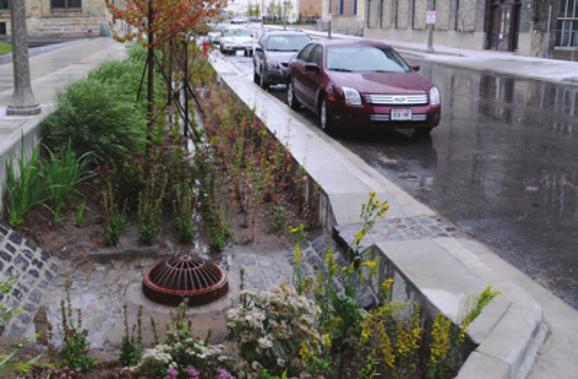 stormwater planter green infrastructure Green infrastructure plays an important role in