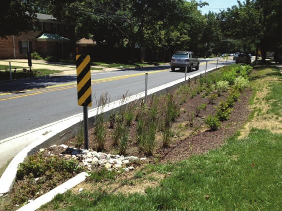 pollutants are removed as stormwater filters through plant material and soil.