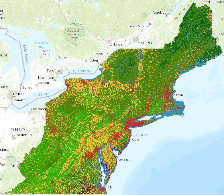 Key Building Block: Northeast Terrestrial Habitat Map