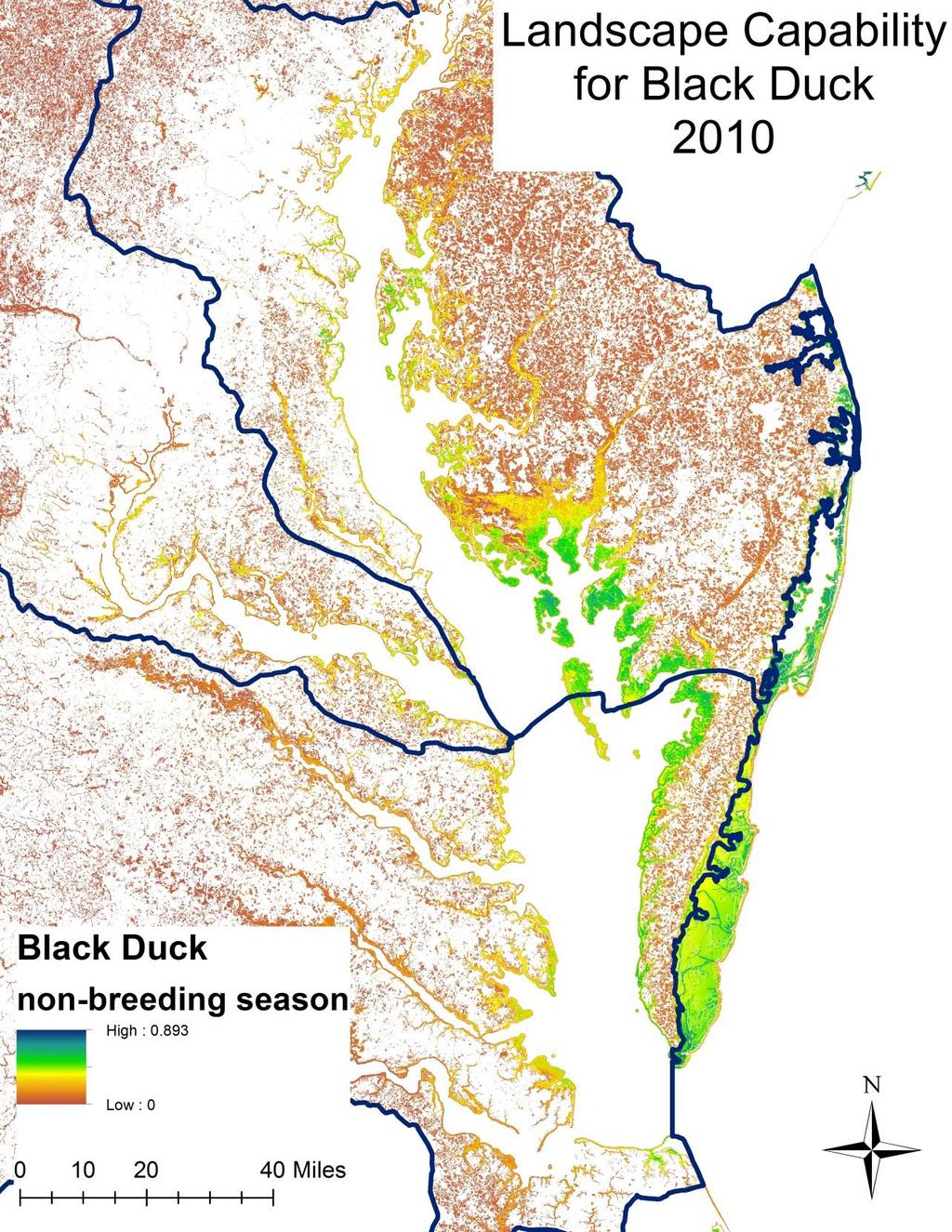 Black duck wintering habitat in Chesapeake Bay Review of model by