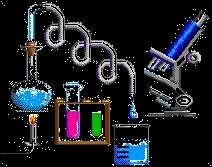 Lab Equipment Identify each of the following: flask Screen