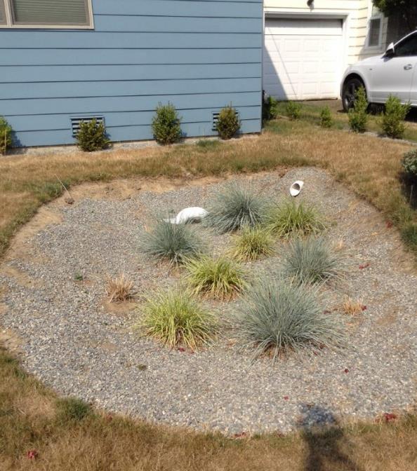 Rain Garden @ 2819 Rain gardens have a shallow depression to hold water while it soaks in and
