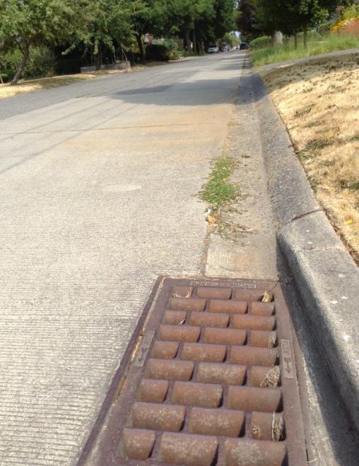 F. Drain Storm Drains move water into underground pipes to take it somewhere else. Anything that gets carried into the drain may end up in a local stream, lake, or Puget Sound.